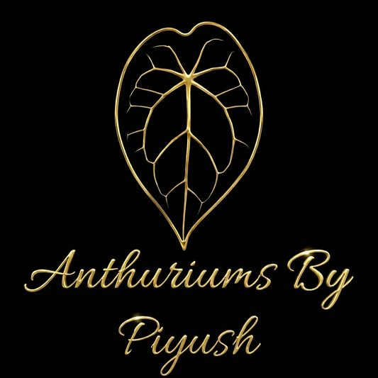 Double Insulation Upgrade